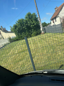 Photo de galerie - Tonte de pelouse