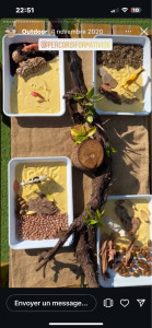 Photo de galerie - éducatrice de jeunes enfants passionnée! 