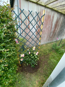 Photo de galerie - Jardinier