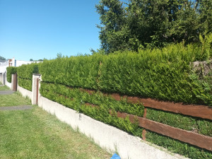 Photo de galerie - Avent