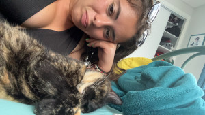 Photo de galerie - Garde de chat 