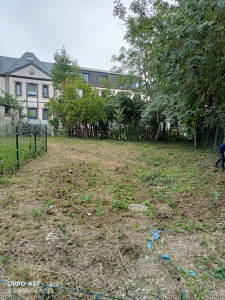 Photo de galerie - Tonte de pelouse - Débroussaillage