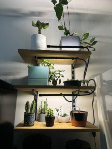 Photo de galerie - Création et installation d’étagères sur mesure 