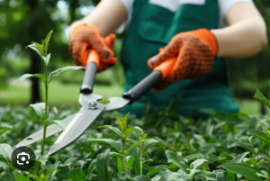 Photo de galerie - Manutention et aide