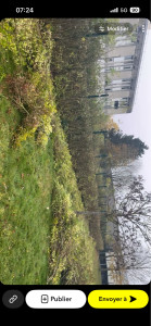 Photo de galerie - élagage d’arbuste 
