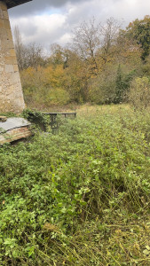 Photo de galerie - Tonte de pelouse - Débroussaillage