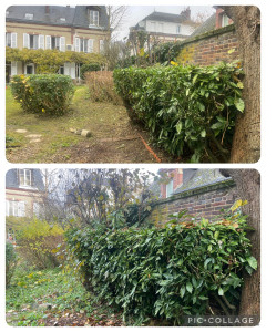 Photo de galerie - Avant après 