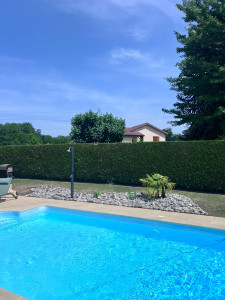 Photo de galerie - Taille de haie avec création de massif en bord de piscine 