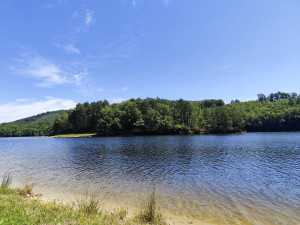 Photo de galerie - Demandez moi un devis pour votre déménagement et j'y répondrai avec plaisir. 
sincères salutations 
Léo 