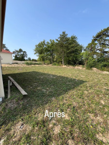 Photo de galerie - Tonte de pelouse - Débroussaillage