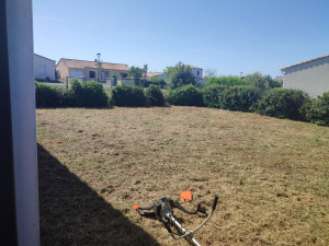 Photo de galerie - Débroussaillage complet