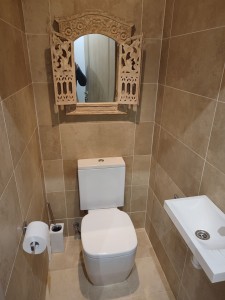 Pose Installation Remplacement WC Suspendu Toilette Sanary