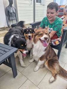 Photo de galerie - Garder des trois chien pour la semaine du 9 aout au 16 aout