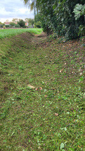 Photo de galerie - Débroussaillage d'une fosse .