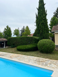 Photo de galerie - Taille d’arbustes