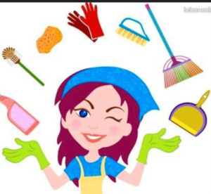 Photo de galerie - Je fais le linge et le repassage