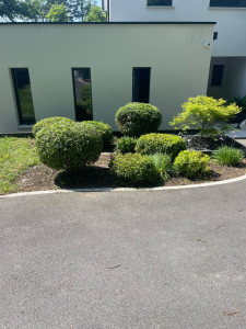 Photo de galerie - Taille de haies et d'arbustes