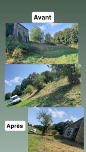 Photo de galerie - Débroussailleuse