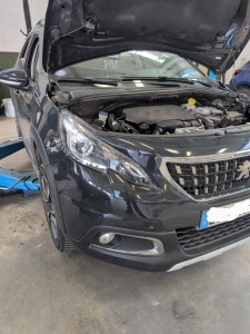 Photo de galerie - Remise en état 2008, remplacement de quelques pièces moteur, roulements avant, frein avant et arrière complet, pneumatiques avant