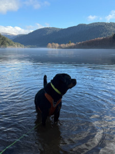 Photo de galerie - Promenade autour d’un lac 