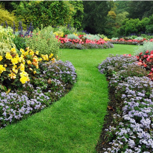 Photo de galerie - Tout model jardinier