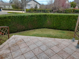 Photo de galerie - Réalisation d'une taille de haie 