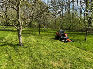 Photo de galerie - Tonte de pelouse - Débroussaillage