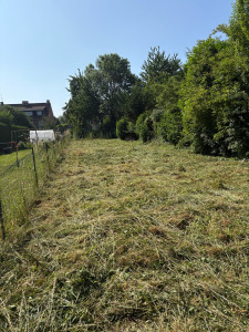 Photo de galerie - Débroussaillage 