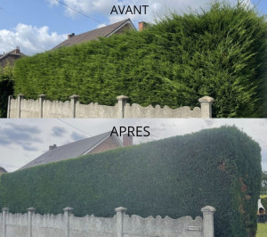 Photo de galerie - Entretien espaces verts 
élagage et Abattage d'arbres 
tonte pelouses 
débroussaillages 
Évacuation des déchets verts 