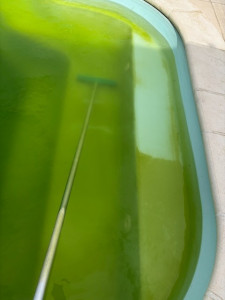 Photo de galerie - Entretien piscine