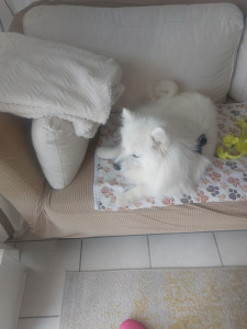 Photo de galerie - Petit pensionnaire 