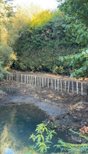 Photo de galerie - Réfection des berges d’un étang  Pose de piquets et traverses en bois, avec remise en forme et aménagement de la berge. Un résultat propre et durable.