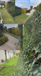 Photo de galerie - Petite taille 