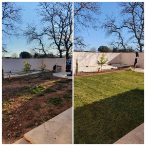 Photo de galerie - Paysagiste - Aménagement du jardin