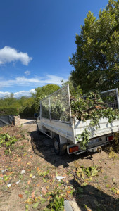 Photo de galerie - Débarras jardin 