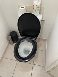 Photo de galerie - Remplacement d un toilette 