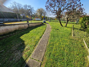 Photo de galerie - Tonte avec ramassage 