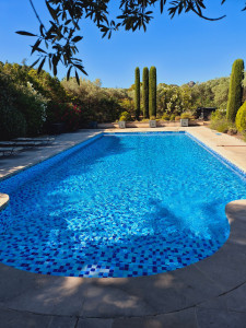 Photo de galerie - Sauvetage d'une piscine verte ✅️