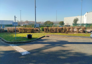 Photo de galerie - .