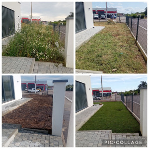 Photo de galerie - étape pour pose de gazon en rouleau 