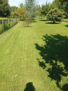 Photo de galerie - Entretien de terrain 
