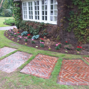 Photo de galerie - Plantation 