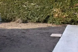 Photo de galerie - Un petit jardin avant