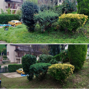 Photo de galerie - Taille