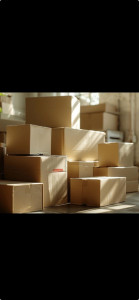 Photo de galerie - Carton, prêt pour déménagement et de chargement, déchargement et port de meubles, travail soigne  et efficace