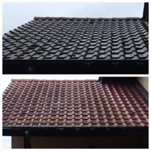 Photo de galerie - Démoussage toiture 