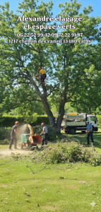 Photo de galerie - élagage 
