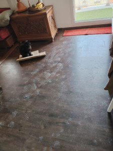 Photo de galerie - Ménage