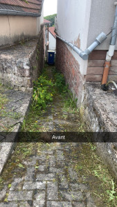 Photo de galerie - Avant mon passage 