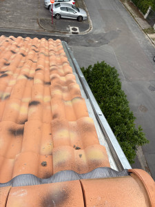 Photo de galerie - Chêneau de rive en zinc 